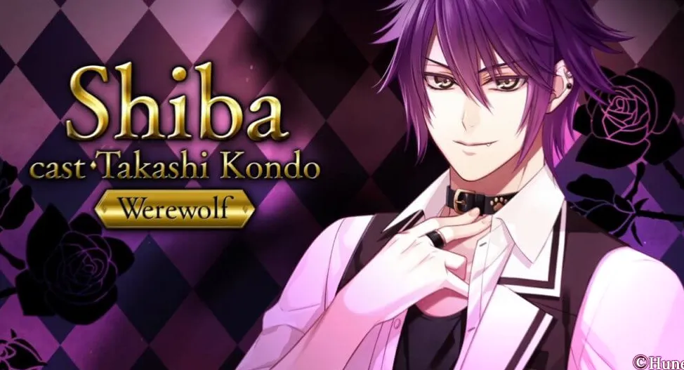 Información del personaje Shiba