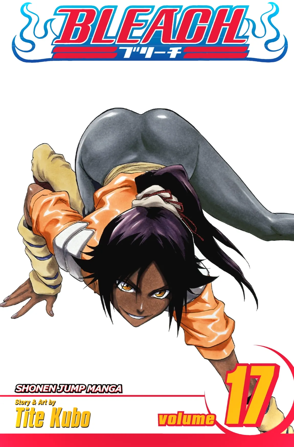 Portada del volumen 17 de Bleach, con Yoroichi