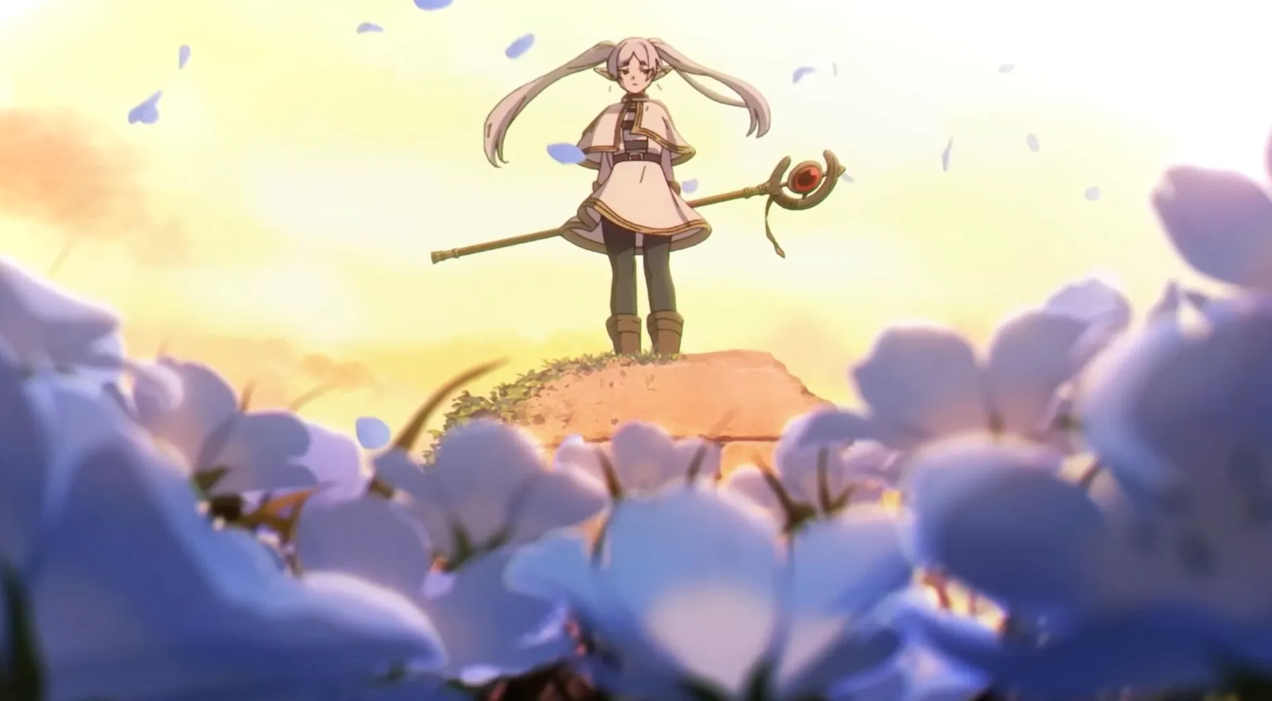 Frieren contempla tranquilamente un campo de flores al atardecer