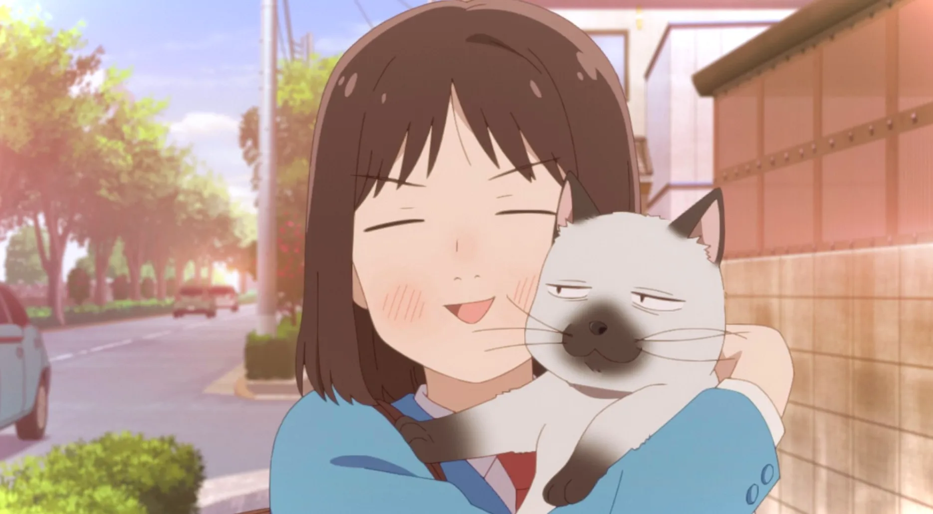 Mitsuki abraza felizmente a un gato nada impresionado