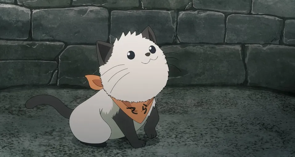 un pequeño gato blanco y negro